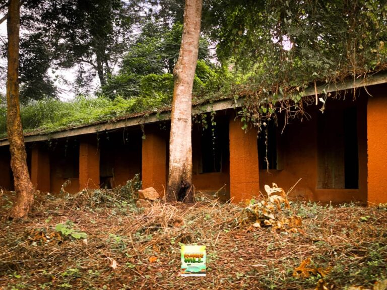 Idanre Tour Image 1